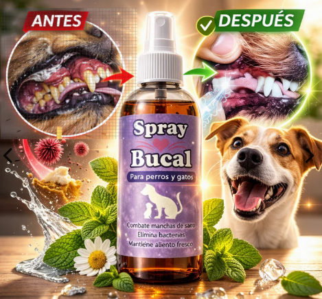 OralPet™ – Adiós al Sarro y al Mal Aliento de Tu Perro ✨🐾