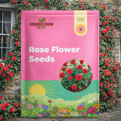 🌷 Rosas Trepadoras en Semilla – Mix de 5 Colores🌺