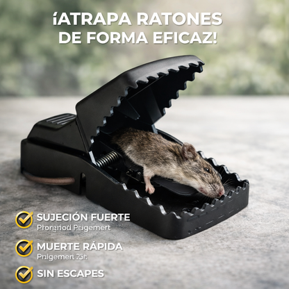 Pack 3 Trampas para Ratones T-REX 🚫Solución Rápida y Segura 🐭
